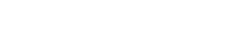 RISE-FLEXPORT