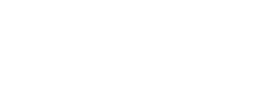 ddn logo white